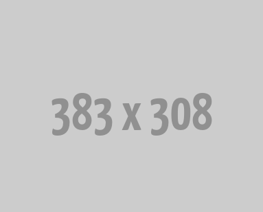 Quality Foods Requirments For Every Human Bodyâ€™s